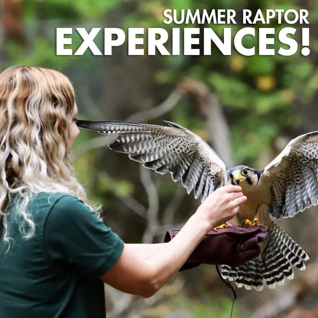 carolina-raptor-center