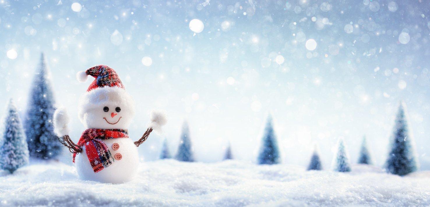 winnipeg-holiday-snowman