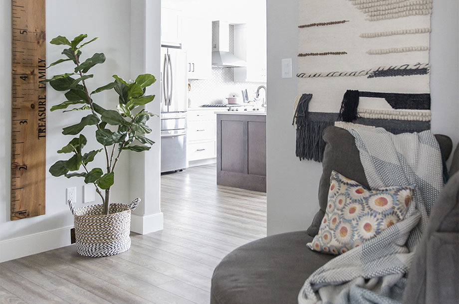 living area with large fig plant and wall decor