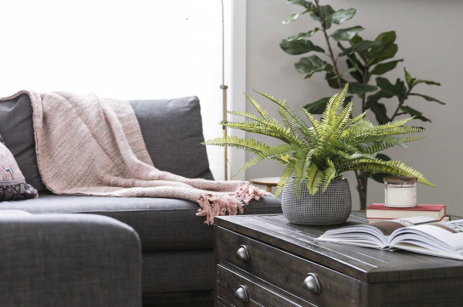 living room with grey sofa and fresh potted plants