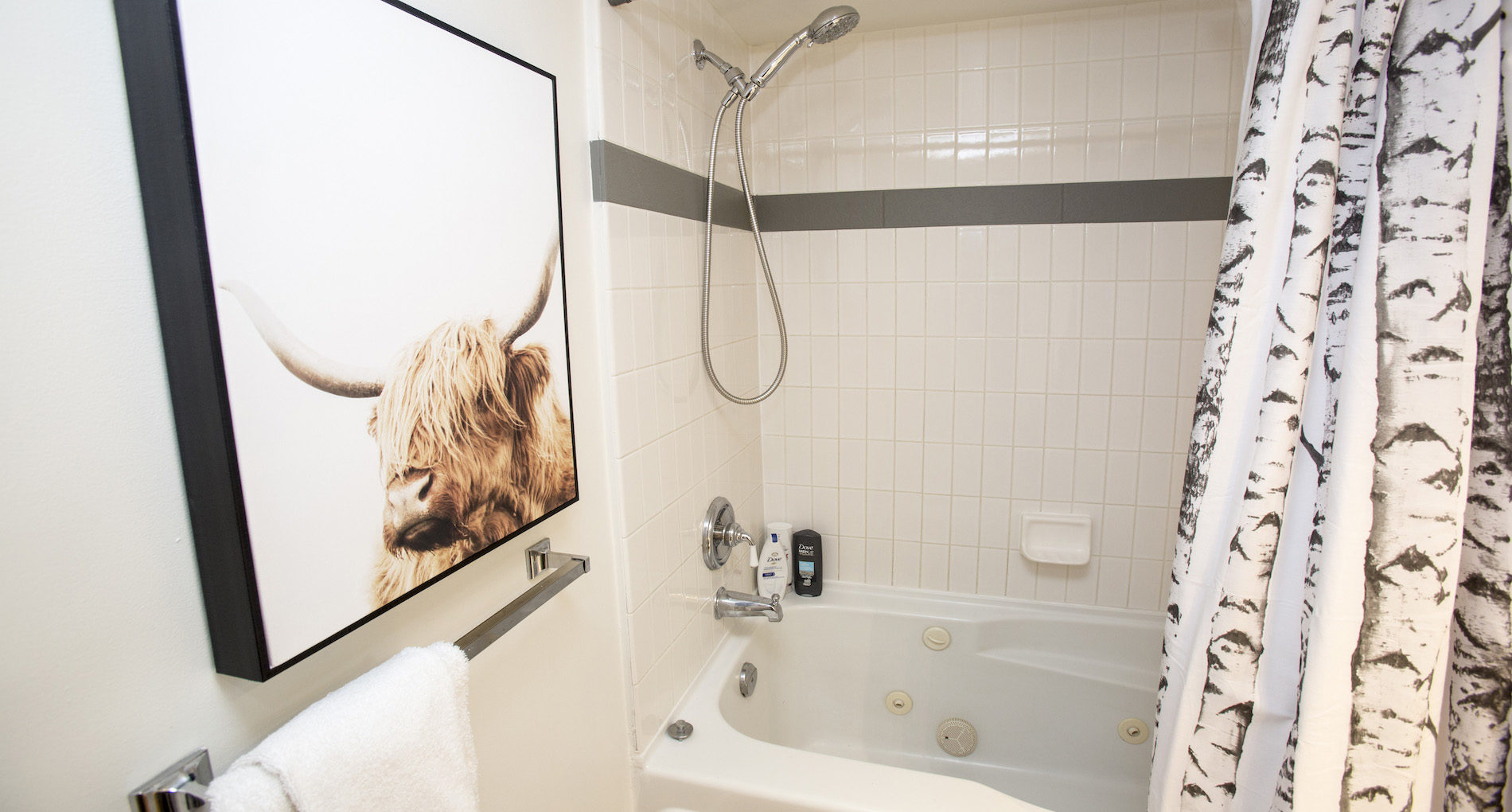 Bathroom Renovation Tricities Glaciersreachcondo Slider