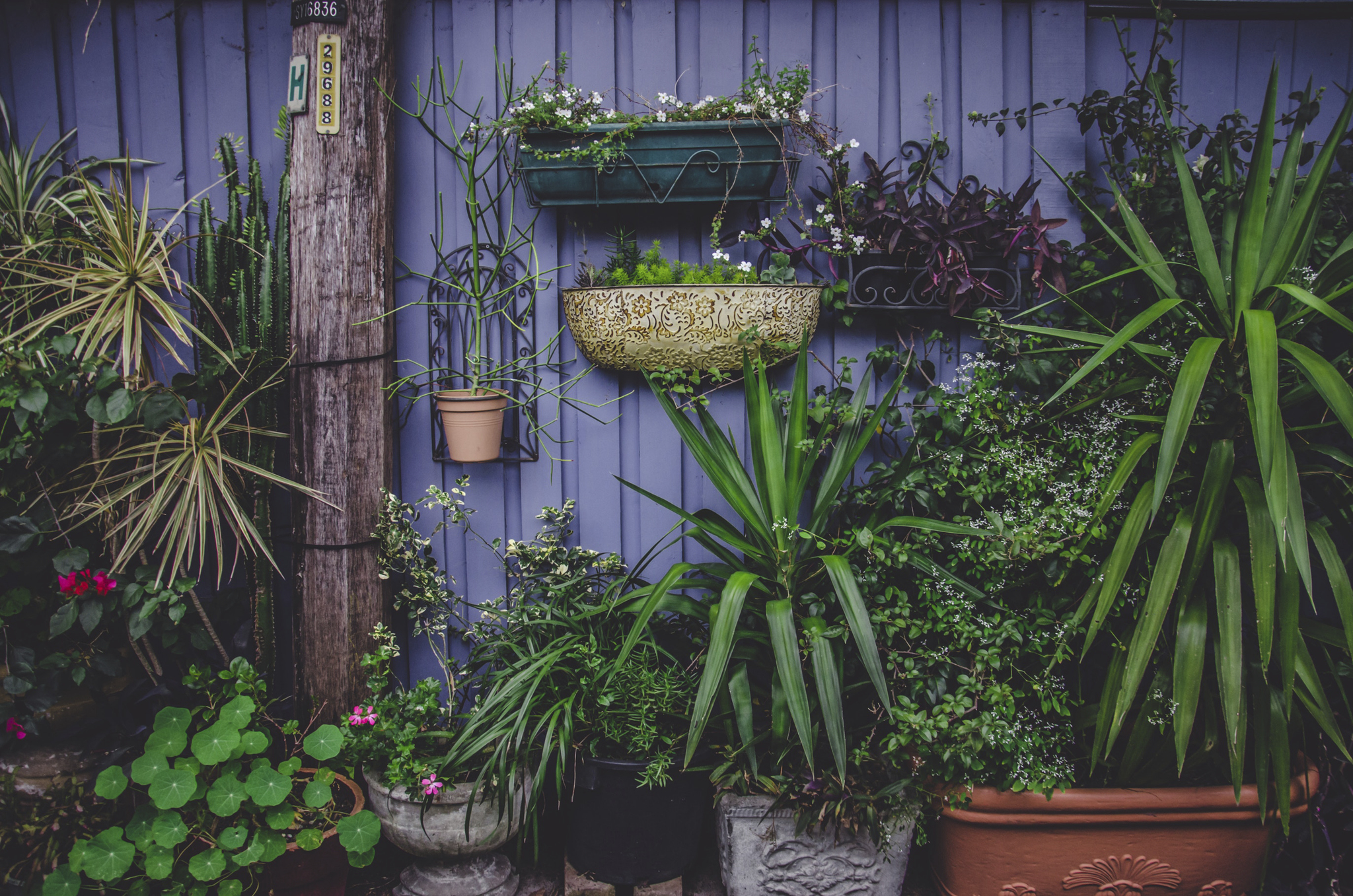 wall-garden-sanibel-island